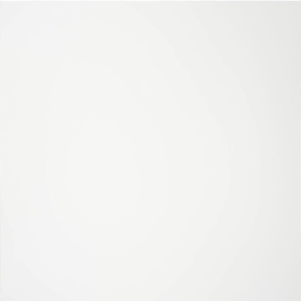 Plain White PVC Shower Panel