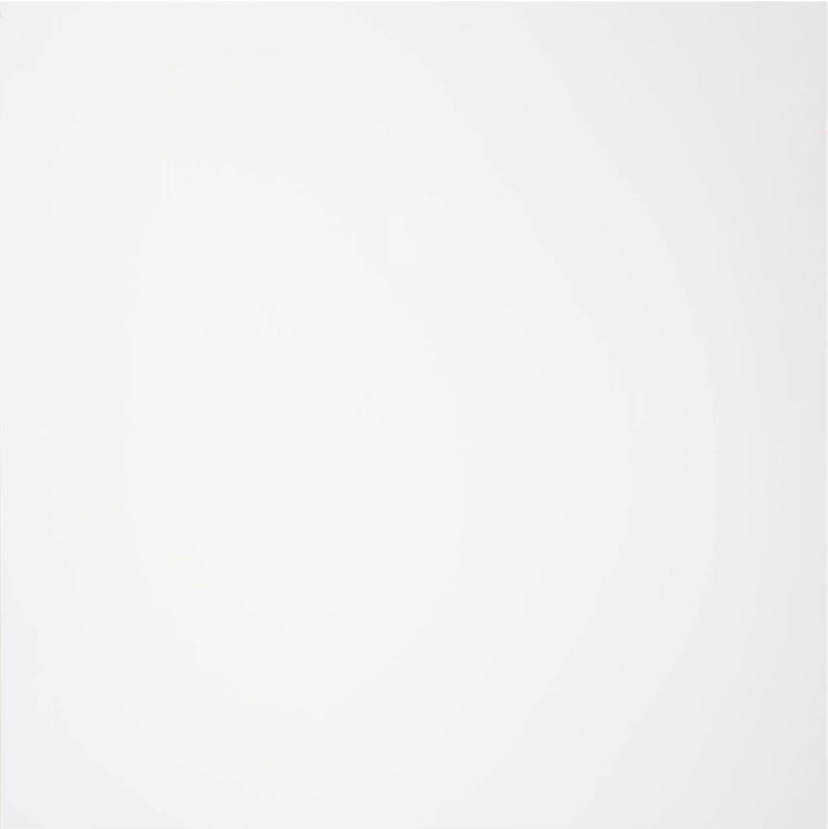 Plain White PVC Shower Panel